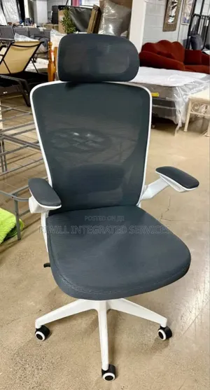 Ergonomic Office Chair