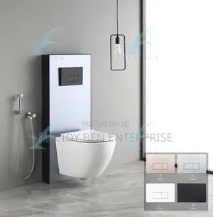 Wall Hung Toilet