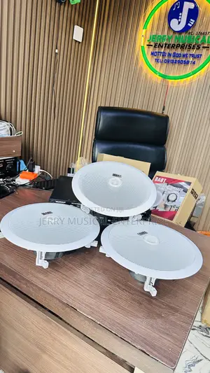 100watts Ceiling Speakers With Woofer With Amplifier