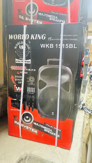 15inches Public Address System With 2 Wireless Microphone