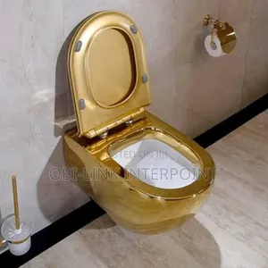 High Quality Gold Concealed Wc With Tissue Holder Brush.