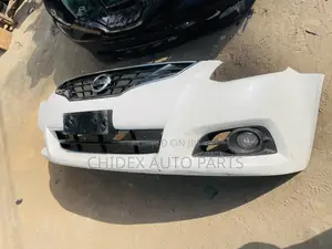 Nissan Altima One Door 2010