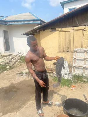 Professional Farmer
