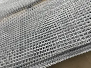 Galvanized Mesh Wire