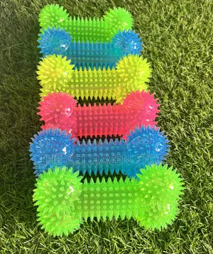 Dog Toys With Lights