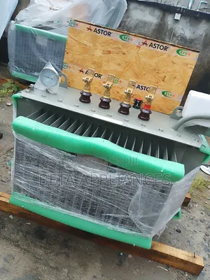 Astor 500kva 33kv High Voltage Transformer