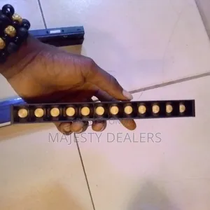 Magnetic Track We Have All Magnetic Spotlight Black Body Warm White