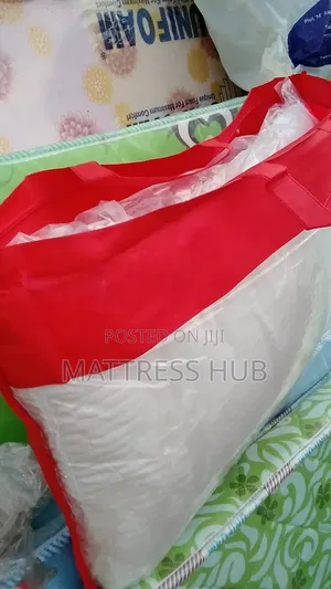 Elegant and Comfortable Feather Pillow