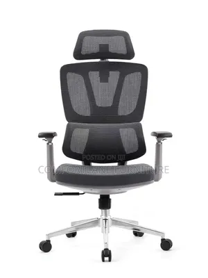 Executive Mesh Design Back Chair