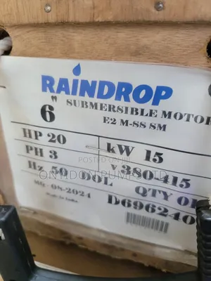 Raindrop Submersible Pump