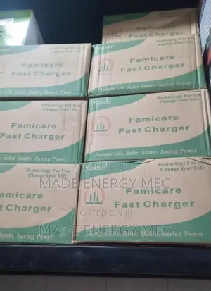 Famicare Battery Charger 30ah
