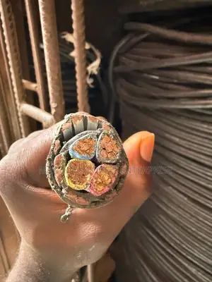 25mm X4 Core Armored Cable