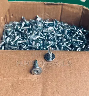 Self Drilling Screw ( Tapping Screw)