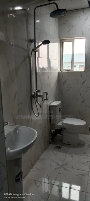 Professional Plumbing Services