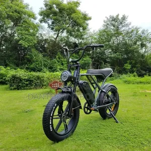 Electric Bicycle