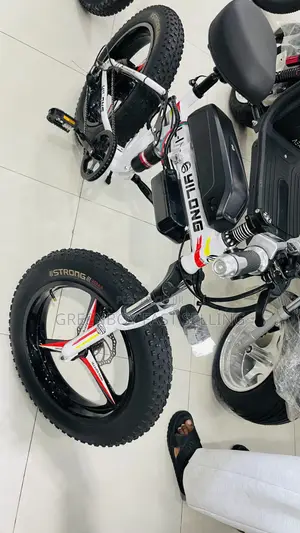 Brand New Electric Bicycle