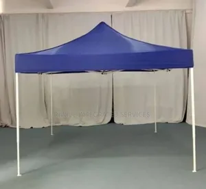 10 by 10 Feet Foldable Canopy