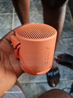 Sony SRS-Xb100