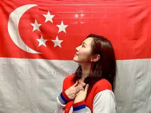 Singapore  Visa 99% Guaranteed