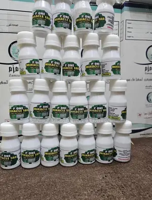 P. One Miracle Tablet ( Moringa Tablet).