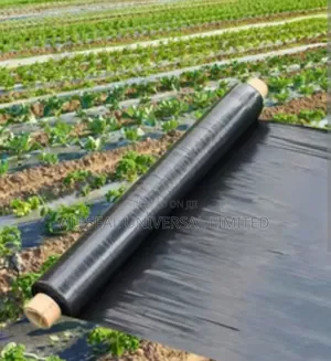 Plastic Mulching Film in 1.2m X 500m (Nous Parlons Français)