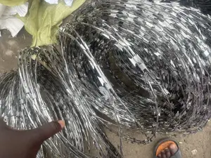Stainless Barb Wire