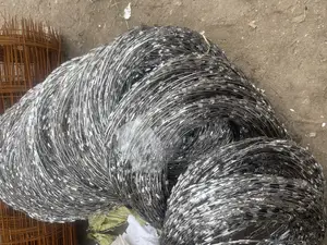 Stainless Barb Wire