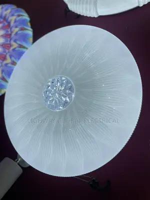 Plastic Ceiling Fitting