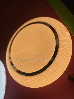 Plastic Ceiling Fitting