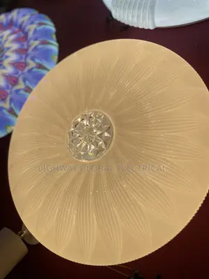 Plastic Ceiling Fitting