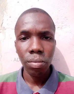 Computer Operator/Teacher