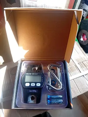 300kg Digital Crane Hanging Scale