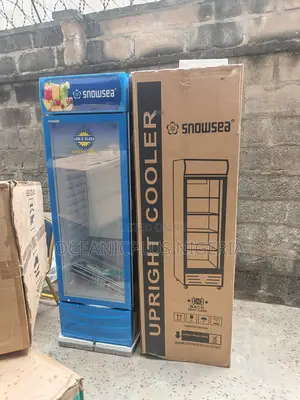 Durable Snowsea 300 Liters Upright Showcase Freezer Chiller Lc-300