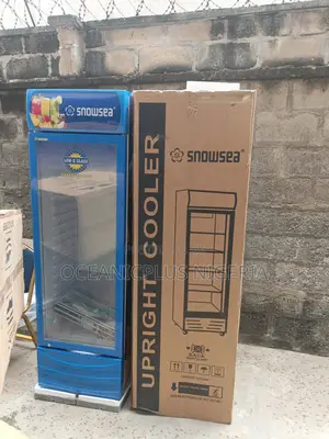 Solid Support Snowsea 300 Liters Showcase Freezer Chiller Lc-300