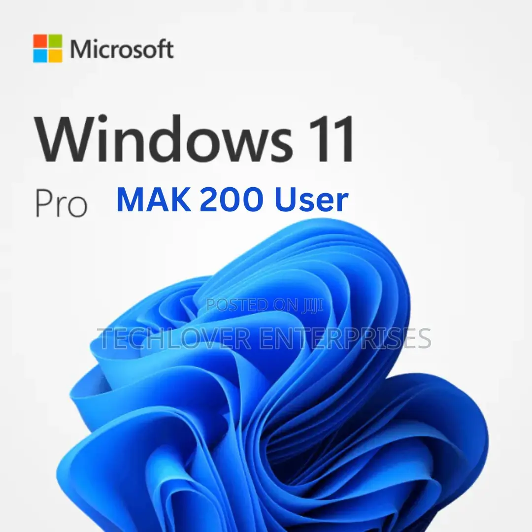 Windows 11 Pro (Mak) 200 User