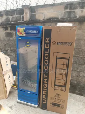 Luxurious Snowsea 300 Liters Upright Showcase Freezer Chiller Lc-300