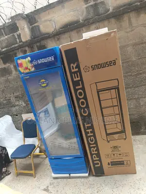 Cozy Snowsea 300 Liters Upright Showcase Freezer Chiller Lc-300
