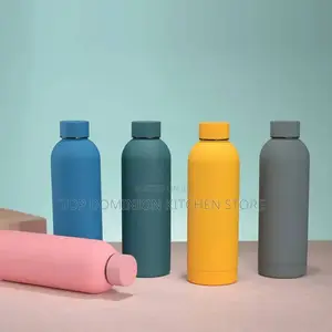 Insulated Stainless Steel Water Bottle