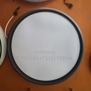 Led Ceiling Light