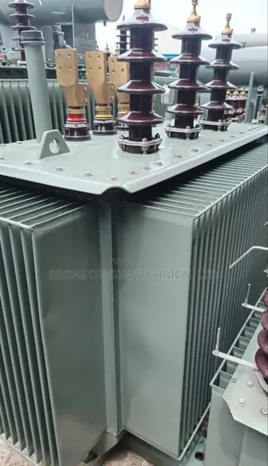 1000kva 33kv/400volt Foreign Use