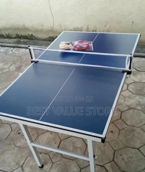 Mini Size Table Tennis With Ball Net and Post to Play