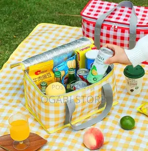 Insulated Picnic Bag