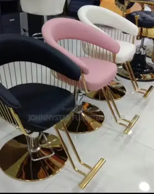 Salon Chairs
