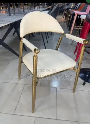 Modern Gold Frame Chair