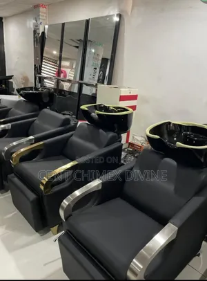 Modern Classic Saloon Chair