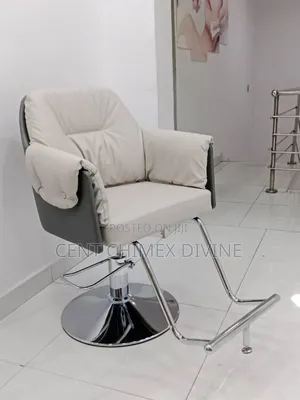 Stainless Comfortable Spa or Saloon Chair