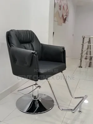 Elegant Spa or Saloon Chair