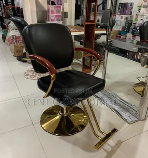 Minimalist Saloon/Spa Chair