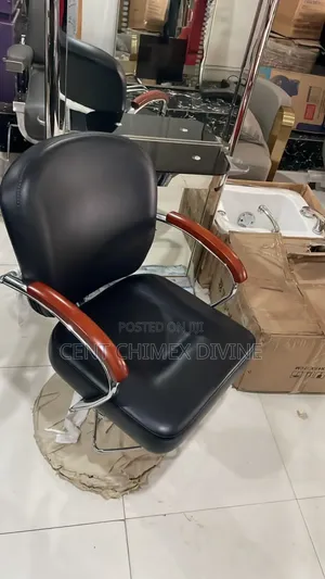 Exquisite Modern Saloon and Spa Chair