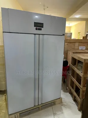 Double Door Upright Stainless Freezer